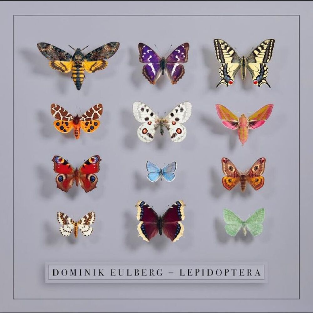 Dominik Eulberg - Lepidoptera  LP LP